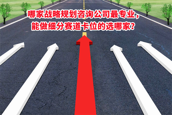 哪家戰(zhàn)略規(guī)劃咨詢公司最專業(yè)，能做細分賽道卡位的選哪家？